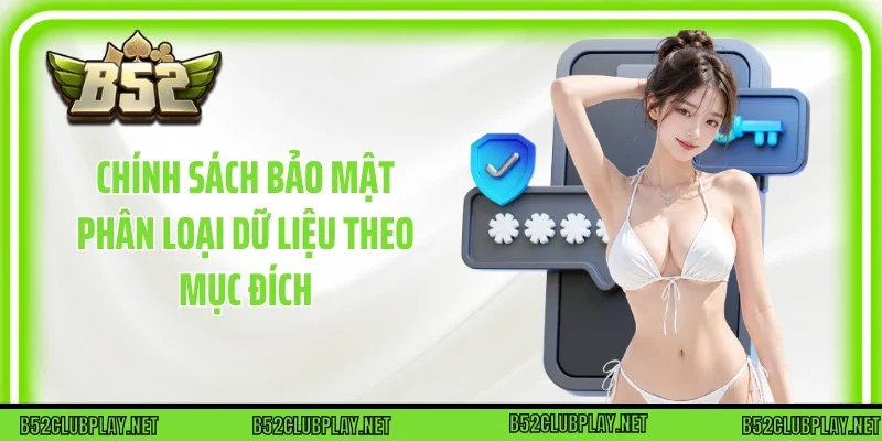 Chính sách bảo mật phân loại dữ liệu theo mục đích