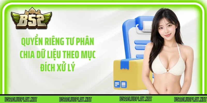 Quyền Riêng Tư phân chia dữ liệu theo mục đích xử lý